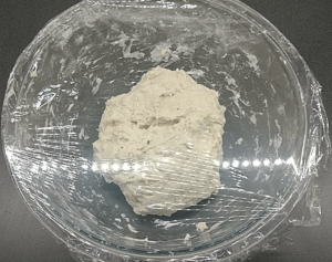 Dough in a bowl covered with plastic wrap.