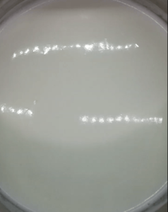 rice covered with milk in a pot