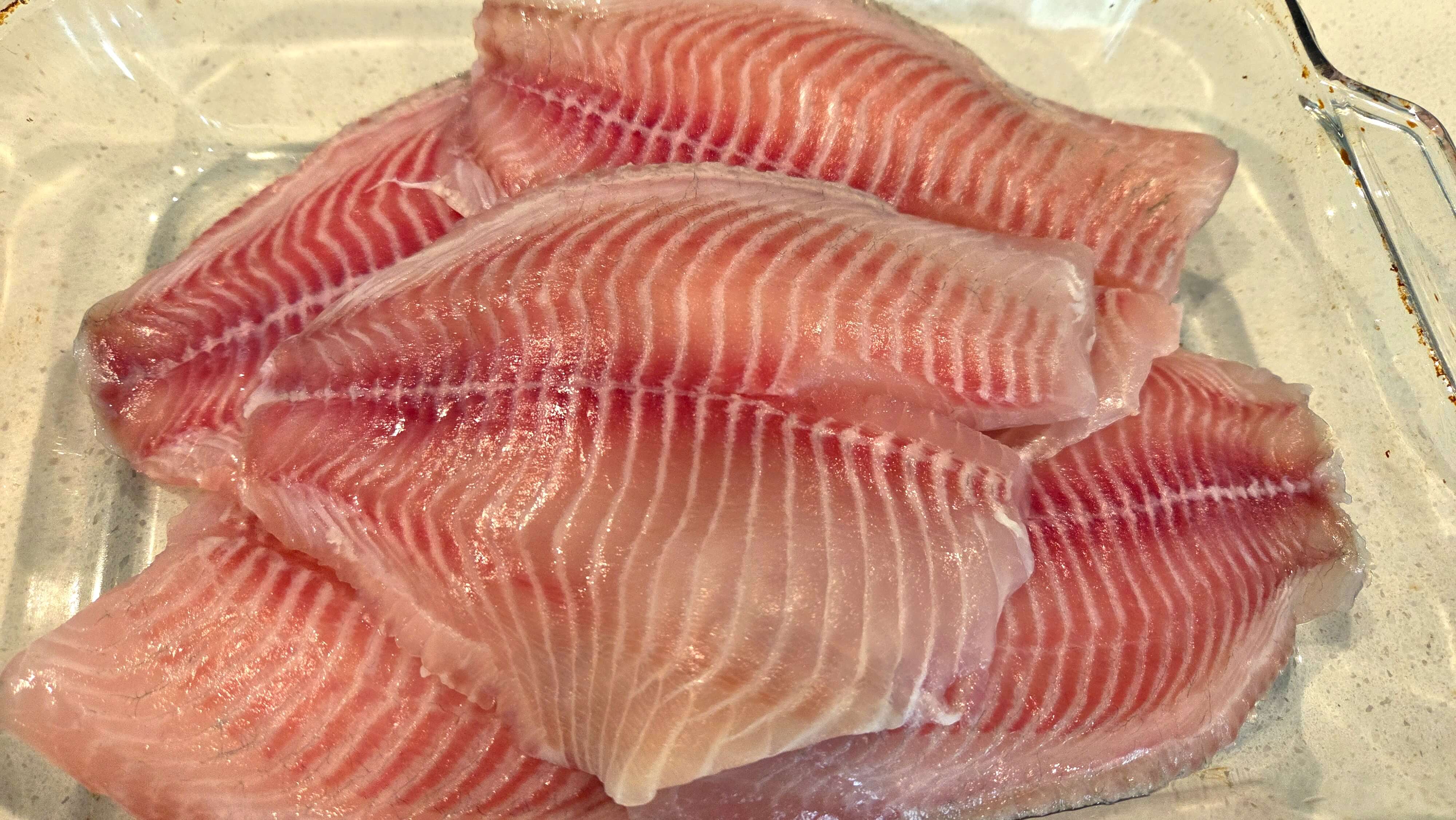 Tilapia fillets completely dry in a pan.